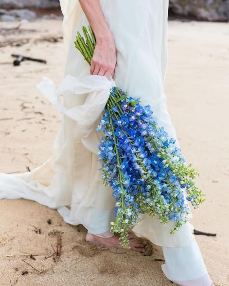 ostróżka kwiat 2026 roku 5