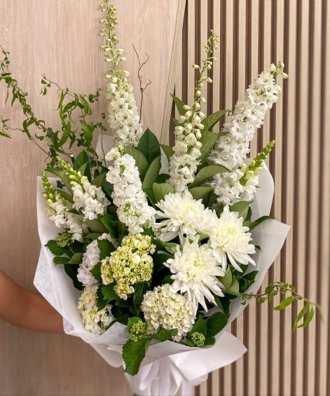 SaveClip.App_574035155_18535057975053552_845208506542191952_n