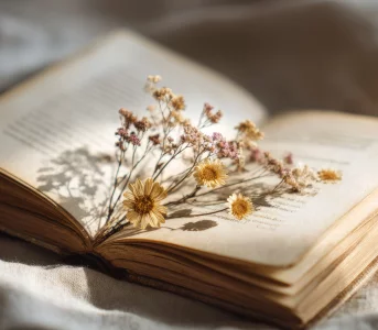 Najpiękniejsze cytaty o&nbsp;kobietach: mądre i&nbsp;inspirujące słowa w&nbsp;sam raz na&nbsp;Dzień Kobiet