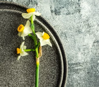 Projekt wiosna. 25 pomysłów nanbsp;wiosenne kwiatowe dekoracje dla fanki minimalizmu