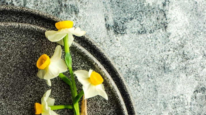 Projekt wiosna. 25 pomysłów na&nbsp;wiosenne kwiatowe dekoracje dla fanki minimalizmu