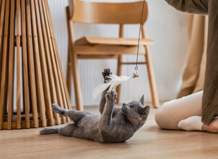 Make-Playtime-a-Daily-Ritual-large