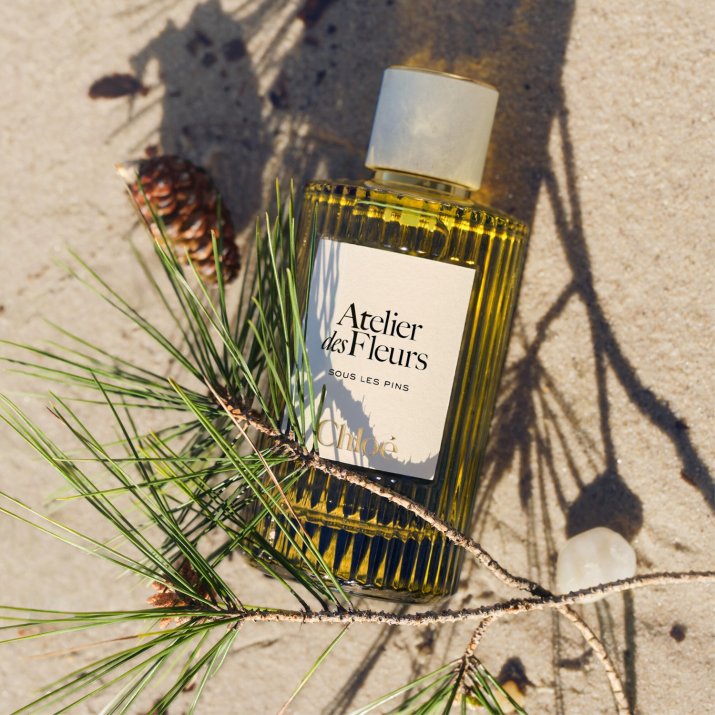 CLO_ADF_ESSM_SLPINS_26_Digital_CPS_Ingredient_Top_Note_Pine_2500x2500