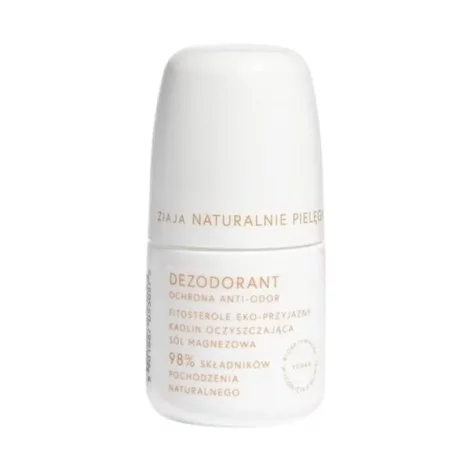 413463__ziaja_naturalnie_pielegnujemy_dezodorant_ochrona_antiodor_60_ml_front_1066308_WB_j