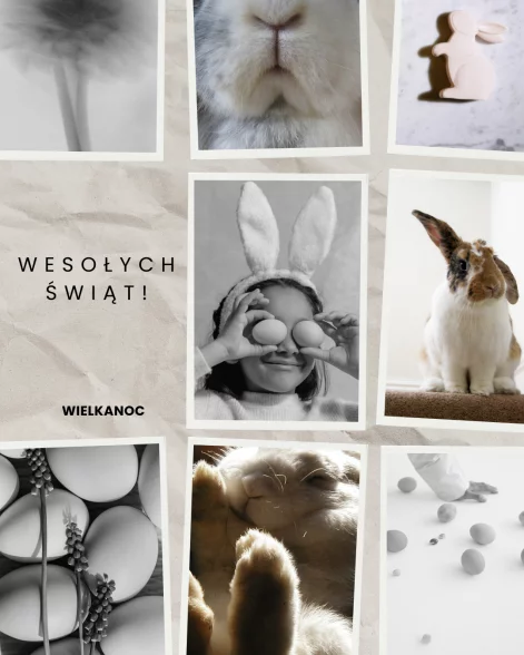 article_content_vertical-1744644774148cd9