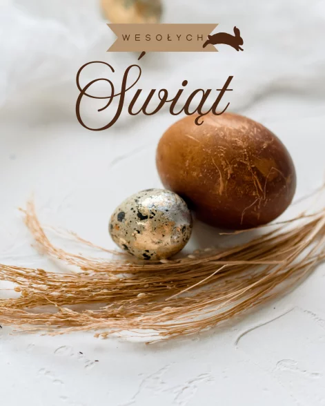 article_content_vertical-17449719770d401d