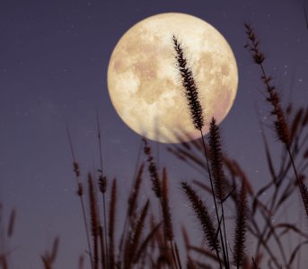 5 znaków zodiaku, dla których pełnia Księżyca 31 maja może być najważniejszym momentem wnbsp;roku