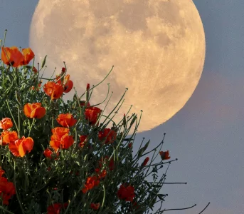 Horoskop tygodniowy odnbsp;8 donbsp;14 czerwca. Powroty, ważne rozmowy inbsp;nowe szanse