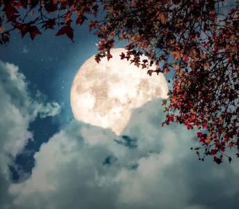 Horoskop tygodniowy odnbsp;6 donbsp;12 lipca. Letnia atmosfera inspiruje donbsp;wyznań inbsp;nowych początków