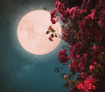 Lipcowa pełnia Księżyca obudzi potrzebę zmian u&nbsp;tych znaków zodiaku