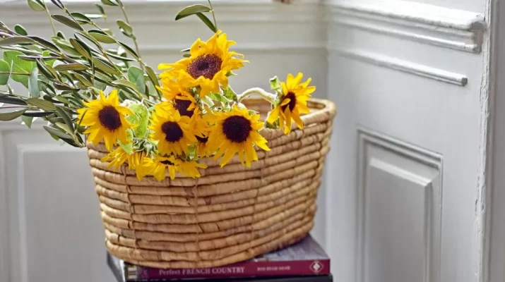 5 stylowych bukietów ze słonecznikiem. Trend naked sunflower zachwyca