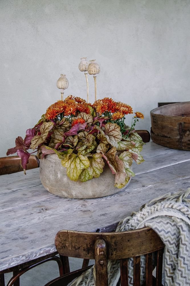Fot. Åsa MyrbergBlomsterfrämjandet