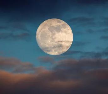 Horoskop tygodniowy odnbsp;7 donbsp;13 września. Kariera tych znaków zodiaku nabierze tempa