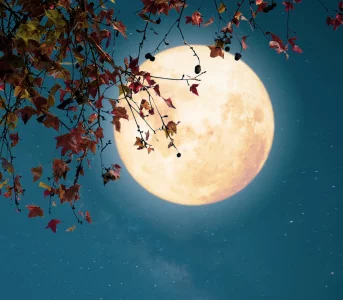 To będzie tydzień zmian dla znaków zodiaku. Horoskop odnbsp;28 września donbsp;4 października