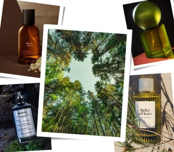 Perfumy pachnące lasem to moje ostatnie odkrycie. Te zapachy są inne niż wszystkie
